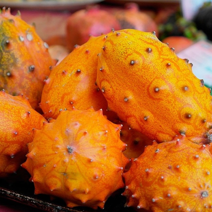 Kiwano - Sementes