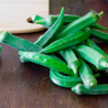 okra verde semillas