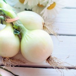 Sementes de Cebola Babosa | Comprar online