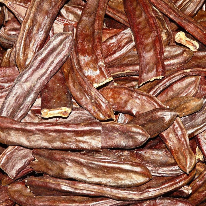 Sementes de Alfarroba (Ceratonia siliqua) | Loja de sementes