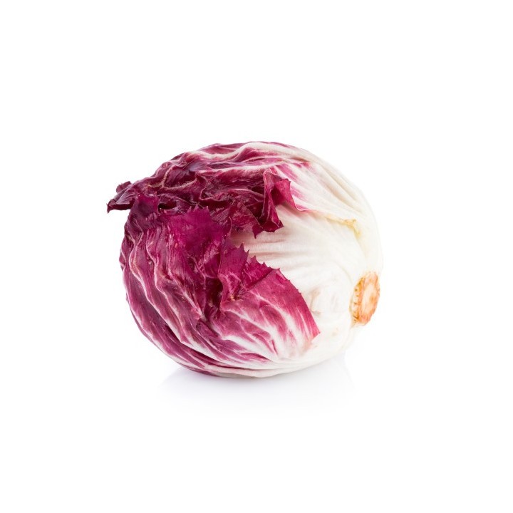 Sementes de Chicória vermelha da Treviso