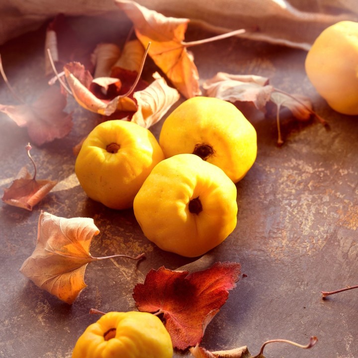 Sementes de Marmelo japonês (Chaenomeles japonica)