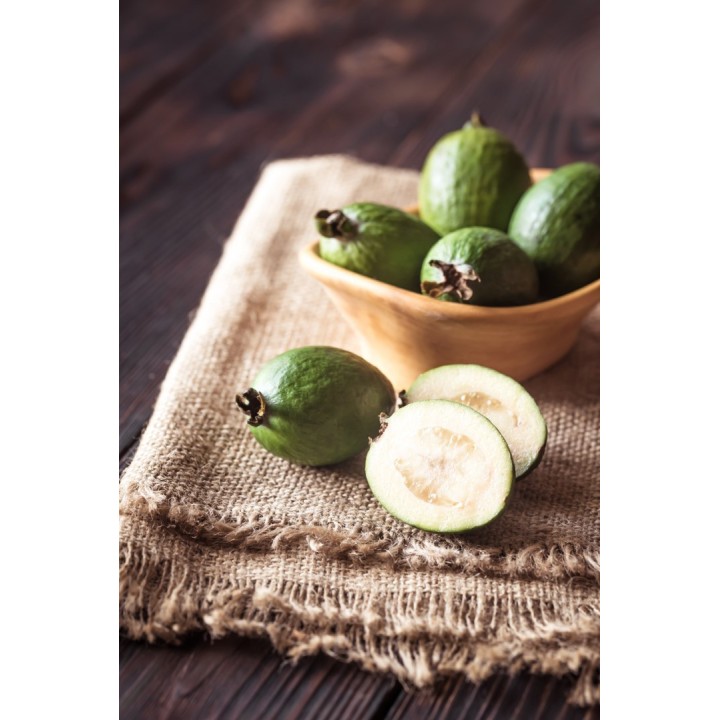 Feijoa (Acca sellowiana) - Sementes | Compra sementes online