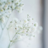 velo de novia flores blancas bodas