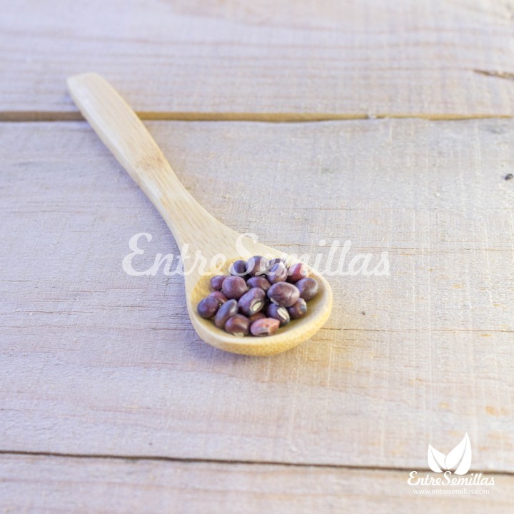 Sementes de Guandu (Cajanus cajan) | EntreSementes