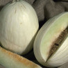 Melão branco do Ribatejo - 30 sementes