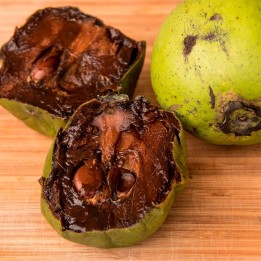 Sapote preto - Sementes