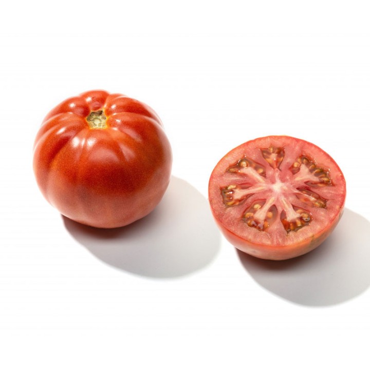 Tomate Muchamiel - Sementes