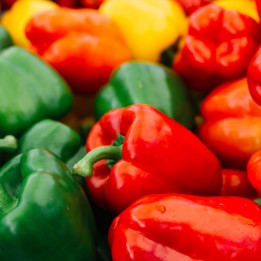 Pimento Doce Califórnia sementes