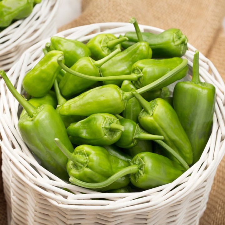 Pimento, de Padrón - Sementes