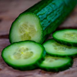 Pepino - sementes