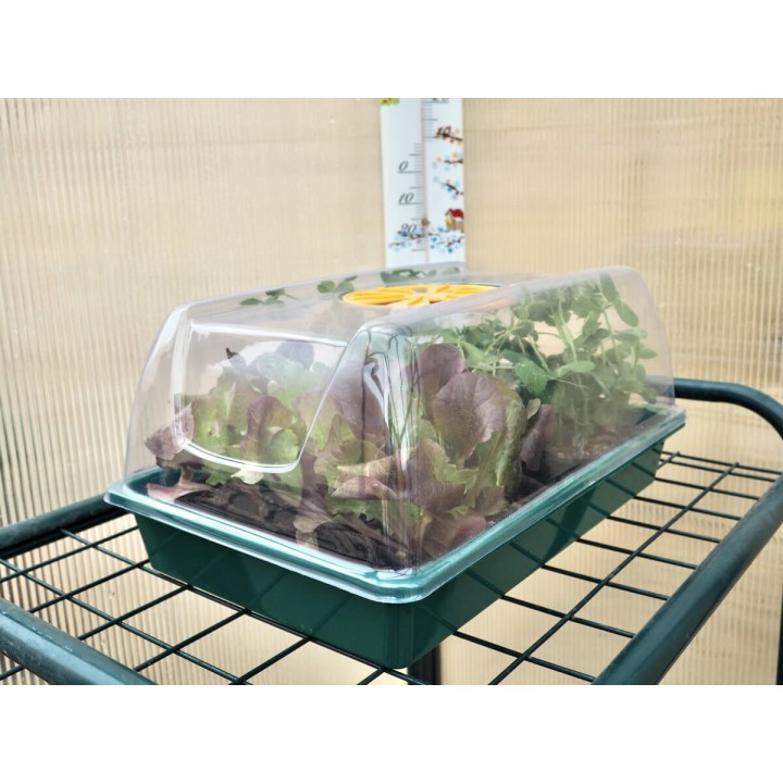 Mini estufa de 38x24 para plantas e sementes | EntreSementes