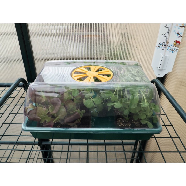 Mini estufa de 38x24 para plantas e sementes | EntreSementes