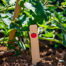 Etiquetas de bambu, ilustração de tomate (6uds)