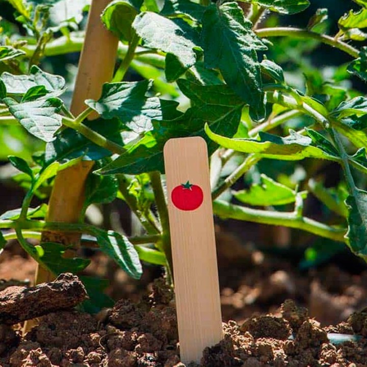 Etiquetas de bambu, ilustração de tomate (6uds)