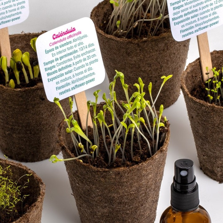 Flower Power - Kit de Autocultivo de Flores | Kit de Sementes