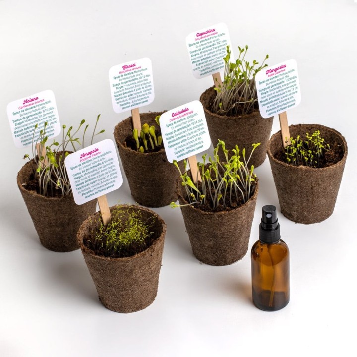 Flower Power - Kit de Autocultivo de Flores | Kit de Sementes