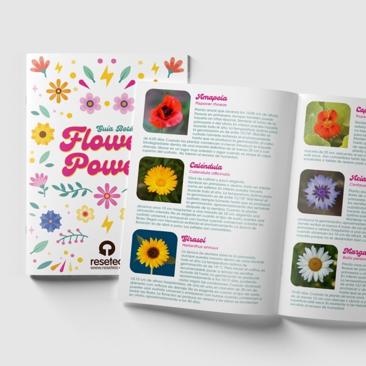 Flower Power - Kit de Autocultivo de Flores | Kit de Sementes