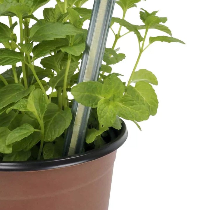 Vasos de cultivo Ø9cm (8 unidades) para sementes e estacas