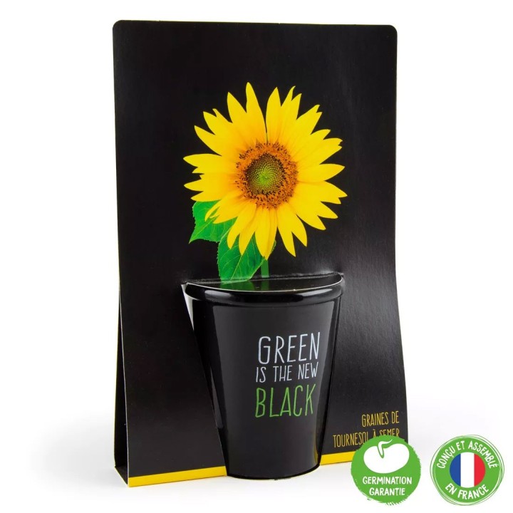 Kit "Green is the new Black" - Girassol