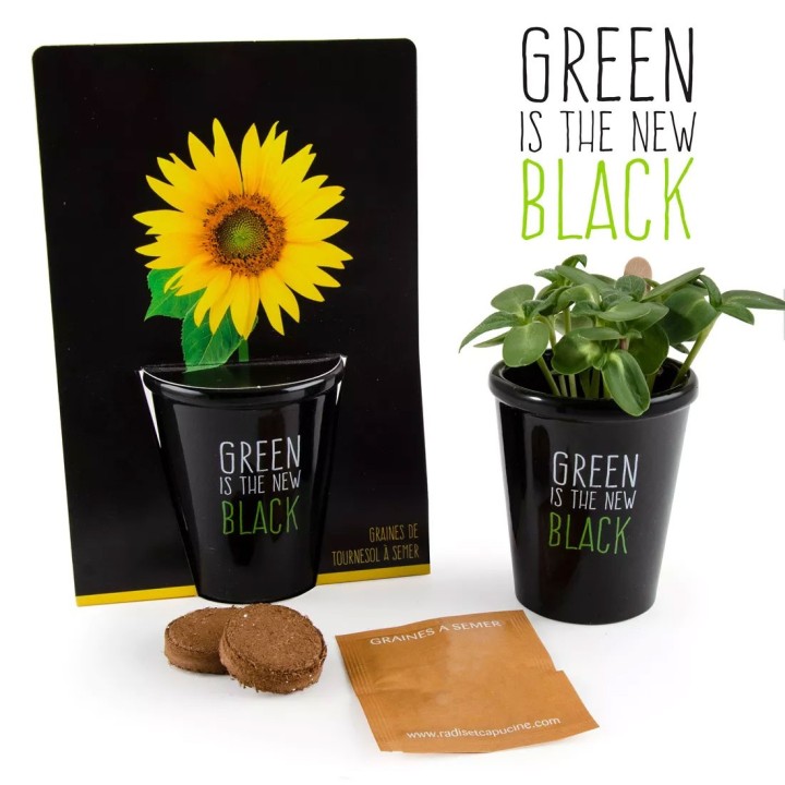 Vaso preto "O verde é o novo preto" - Girassol