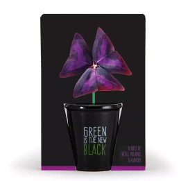Kit "Verde é o novo preto" - Trevo roxo
