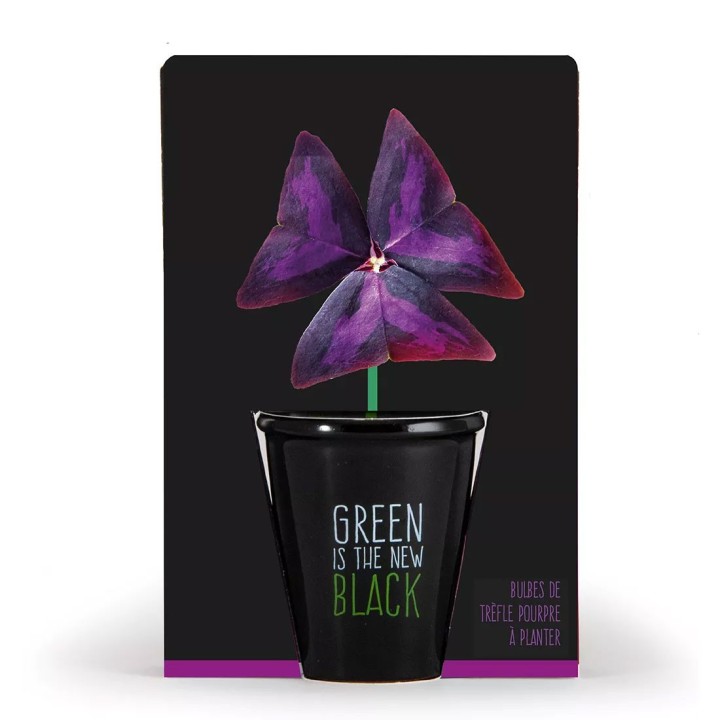 Kit "Verde é o novo preto" - Trevo roxo