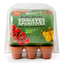 Mini estufa para Tomates orgânicos