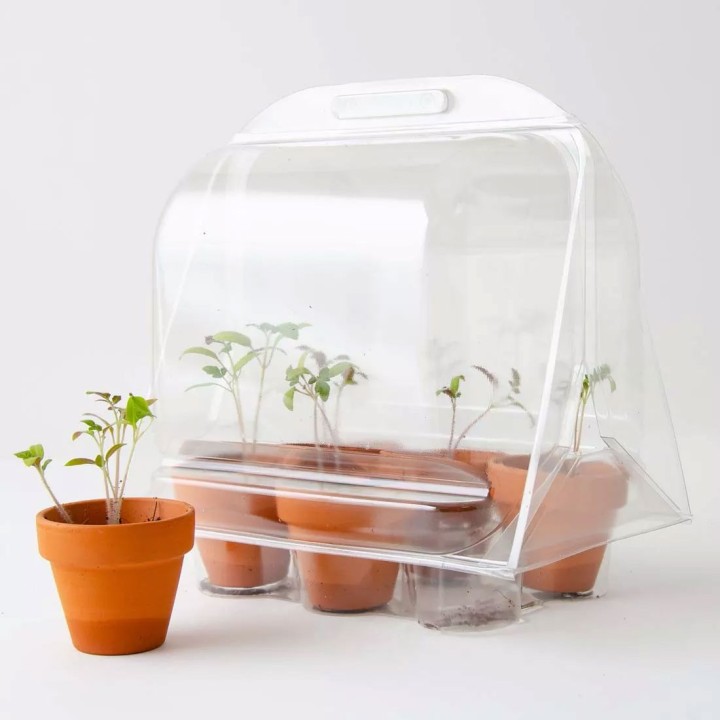 Mini estufa para Tomates orgânicos