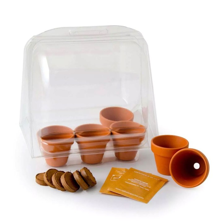 Mini estufa para Tomates orgânicos