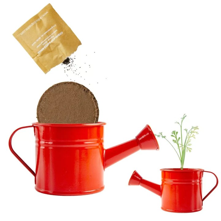 Mini regador vermelho com sementes de papoula