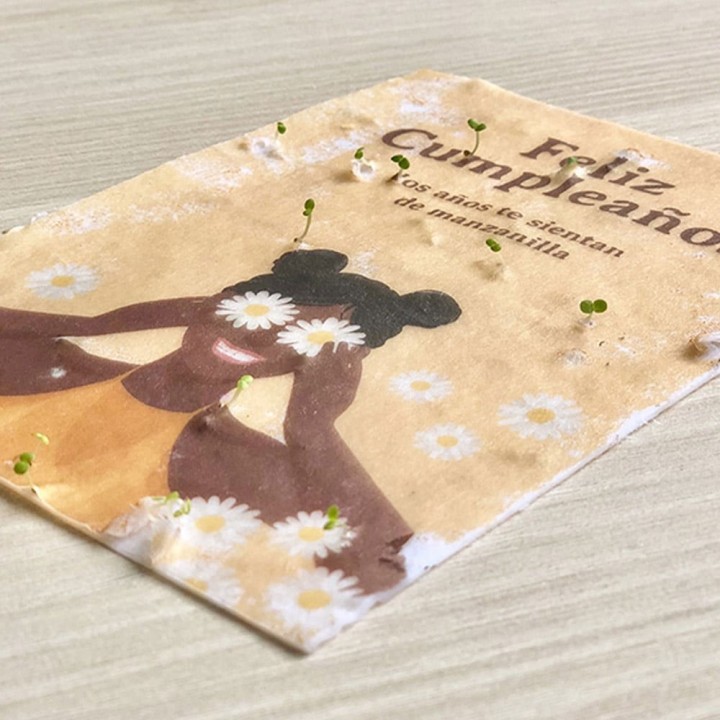 Cartão postal plantável - Te quiero mamá