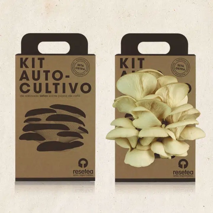Kit de Cultivo Cogumelos Ostra