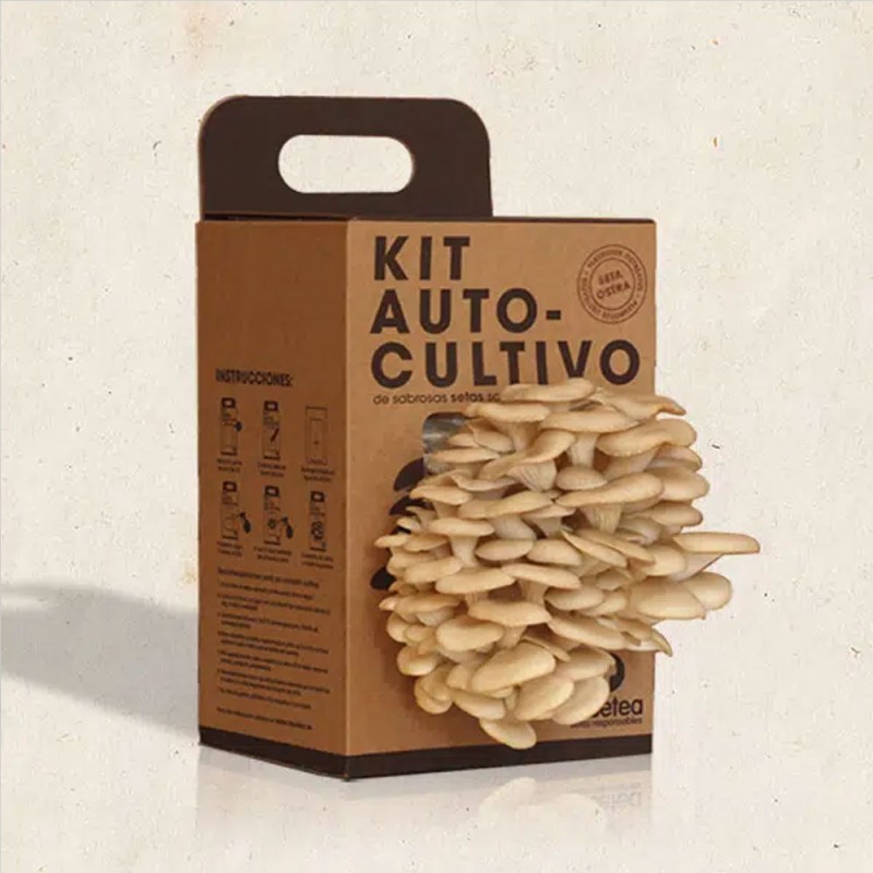 Kit de Cultivo Cogumelos Ostra