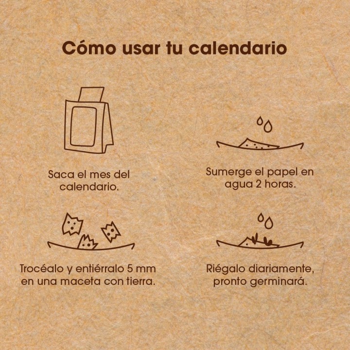 Calendário Plantável 2025: Faça do Seu Ano uma Jornada Sustentável de Crescimento!