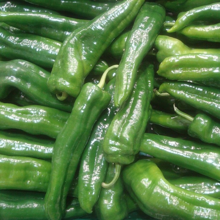Sementes de Pimento verde italiano doce | Compre sementes online