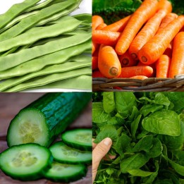 Pack "Cultivo Rápido para Iniciantes" - Sementes