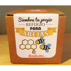 cajas de semillas para abejas kit de siembra para regalo