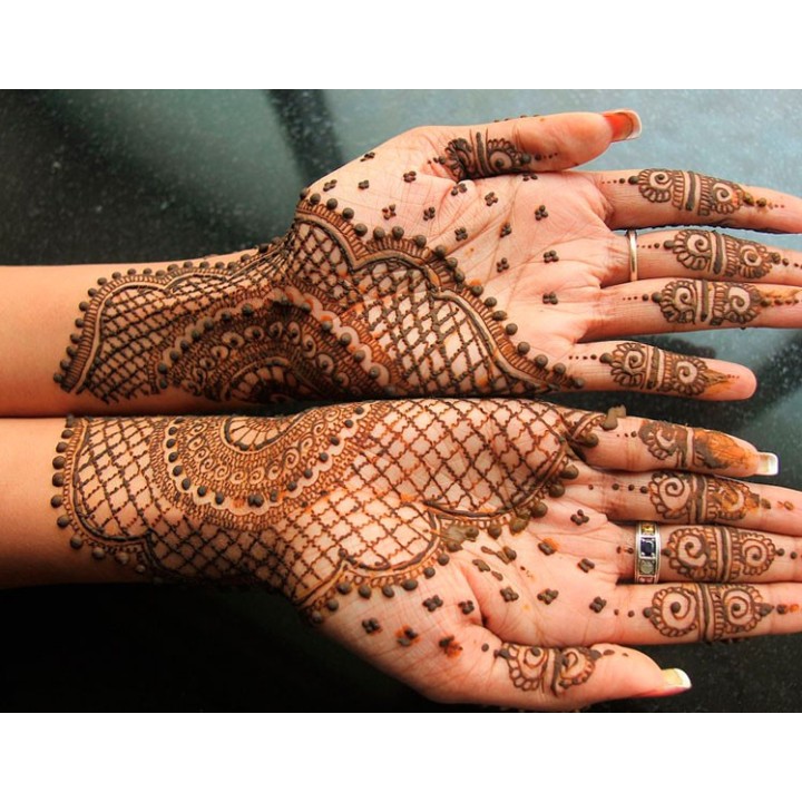 Sementes de Henna (Lawsonia inermis) ou Hena para semear