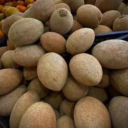 Mamey - Sementes