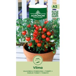 Tomate Vilma - Sementes