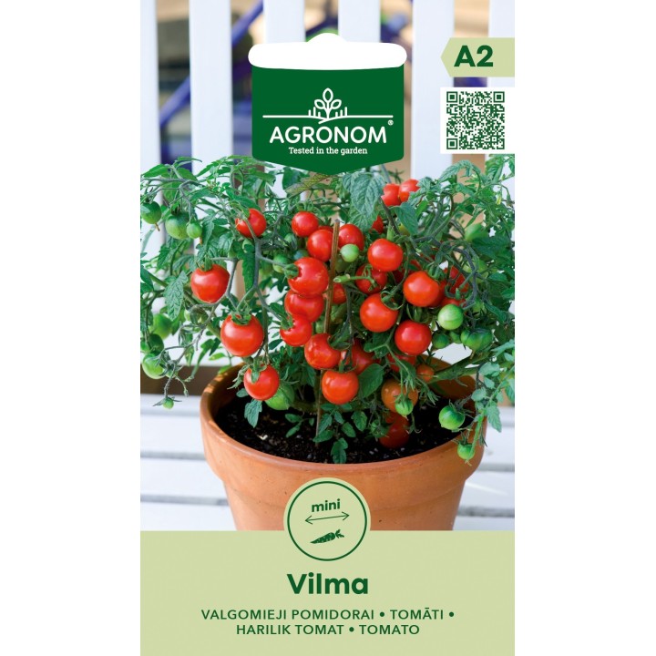 Tomate Vilma - Sementes