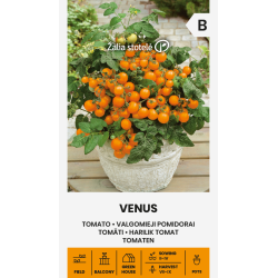 Tomate Vénus - Sementes