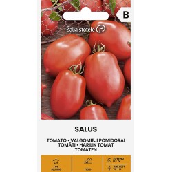 Tomate Salus - Sementes