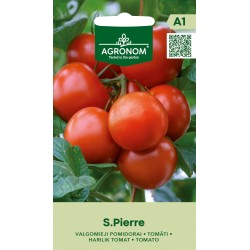 Tomate Saint Pierre - Sementes