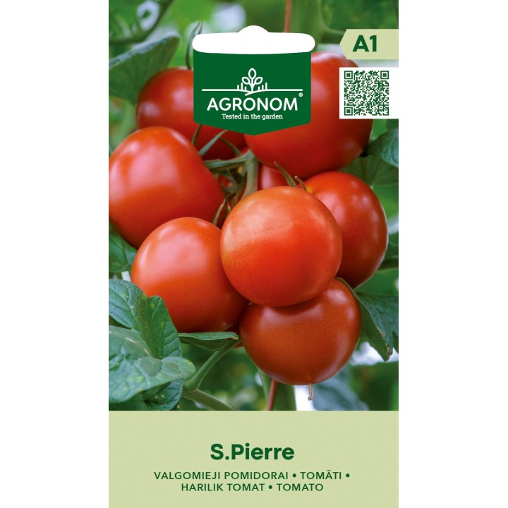 Tomate Saint Pierre - Sementes