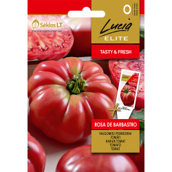 Tomate Rosa de Barbastro - Sementes