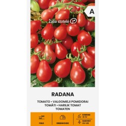 Tomate Radana - Sementes