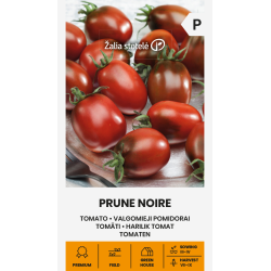 Tomate Ameixa Negra - Sementes