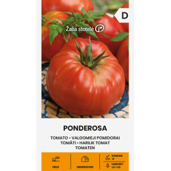 Tomate Ponderosa - Sementes